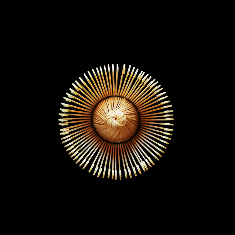  A top-down view of a Japanese Chasen whisk, highlighting the intricate arrangement of its finely carved prongs.

