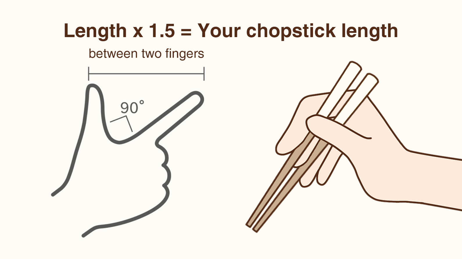 Japanese Chopsticks A Guide Before You Buy — My Cookware Australia