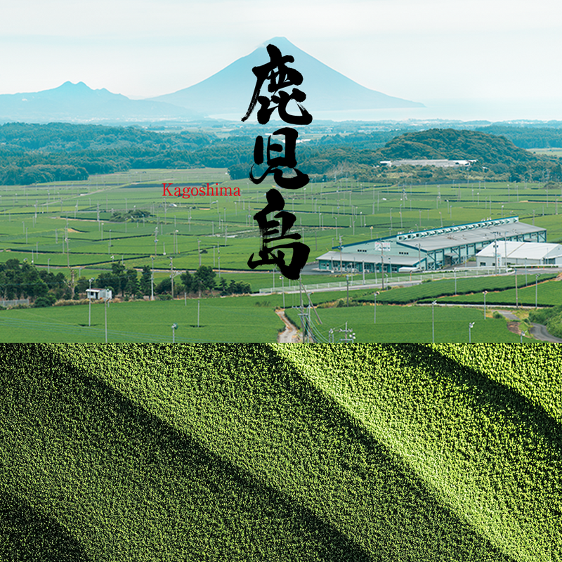 Kagoshima Premium Matcha Powder - 20g