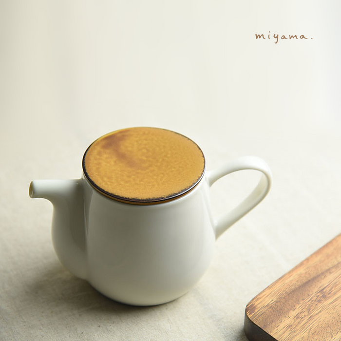 Promotional image of the Miyama Bico Series teapot in a serene home setting, with the text 'bico' suggesting a focus on simplicity and elegance in design.