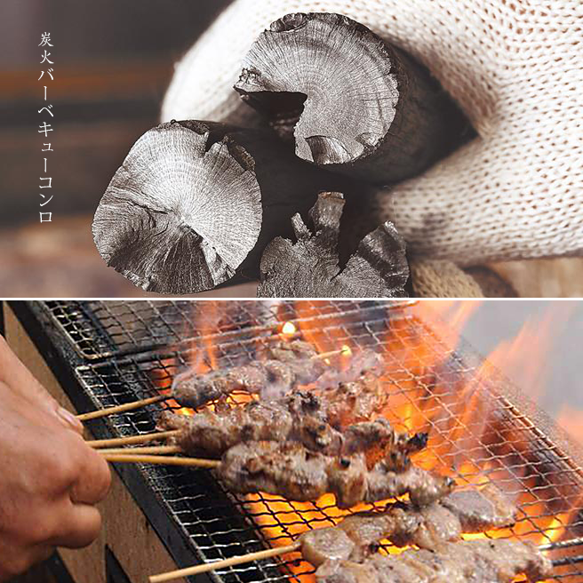 Premium Tosa Binchotan (Komaru) Charcoal for Konro Grill - 2KG Pack