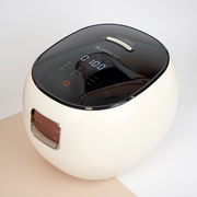 Buffalo BOILSTEAM 5-cup stainless steel rice cooker (BRC01) in white with a black touch panel, shown on a clean white background.