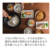 Ginpo Kikka Donabe (Japanese Clay Pot) Rice Pot with Double Lids 2 Cups - White 3