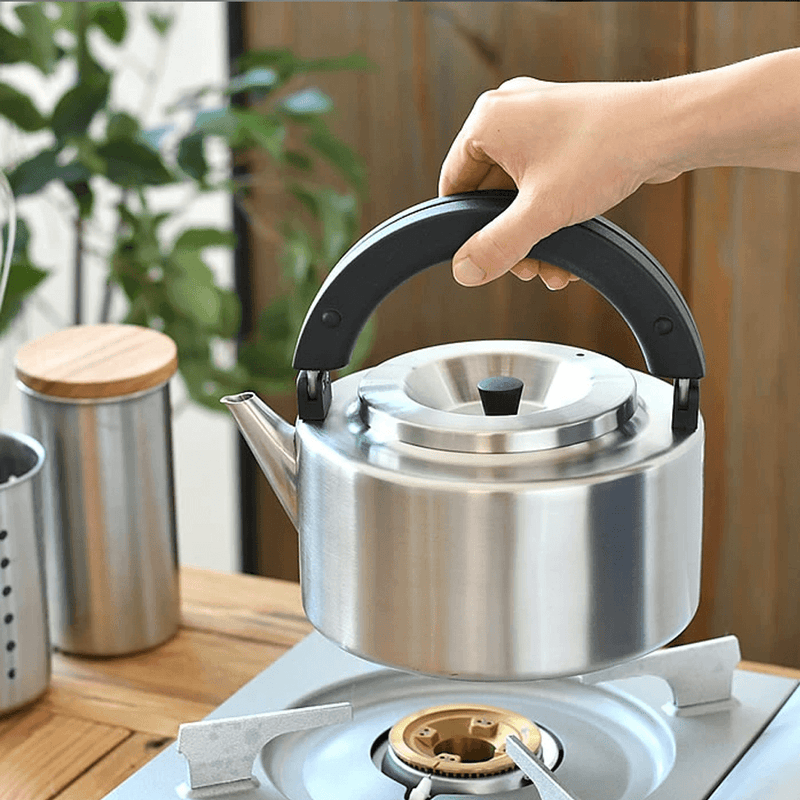 CB Japan Copan 2 in 1 Teapot and Kettle -1.7L: with handle