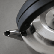 CB Japan Copan 2 in 1 Teapot and Kettle -1.7L: pouring mouth