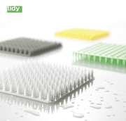 Tidy PlaTawa Multipurpose Brush - Made in Japan: Various colour