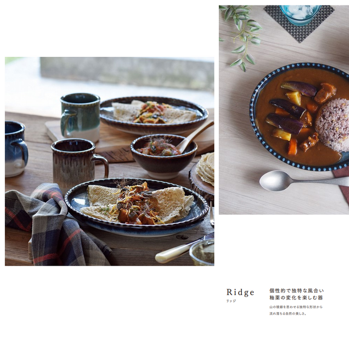 Aito Mino Yaki Ridge Series Dinner Plate - Blue. With food.