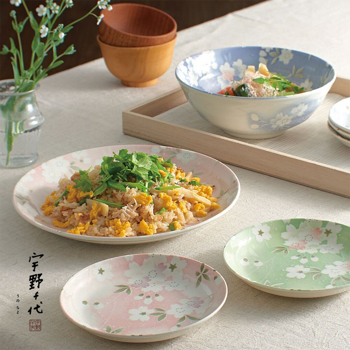 Aito Mino Yaki Uno Chiyo Blossom Dinner Plates - Set of 2. With food.